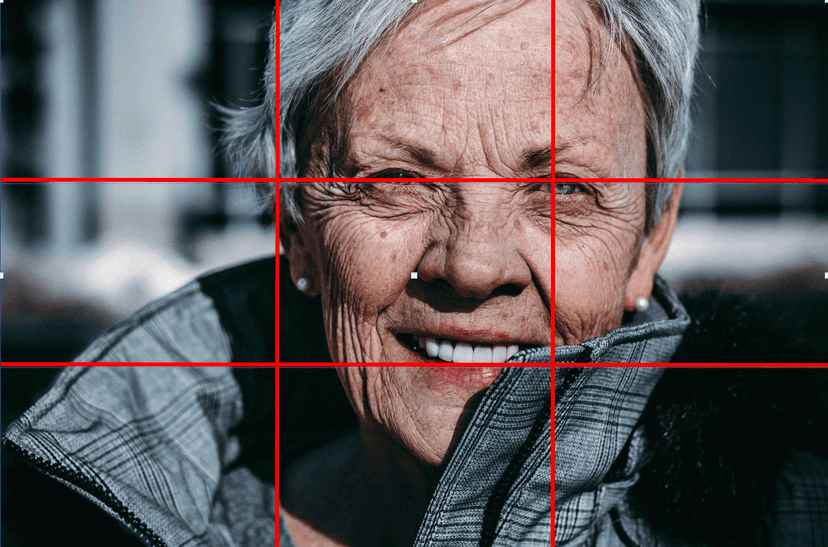 Rule of thirds – 3x3 grid and strong points in the frame for canvas from a photo